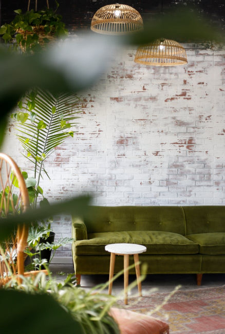 sofa kanapa liście domowa dżungla